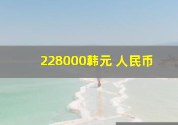 228000韩元 人民币